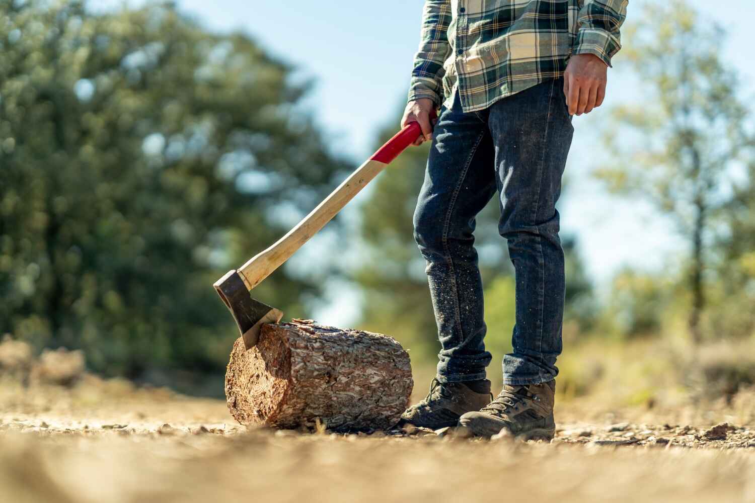 The Steps Involved in Our Tree Care Process in Ringgold, LA